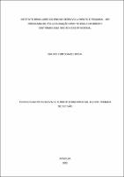 Tese_BRUNO YUDI SOARES KOGA_Doutorado_2023.pdf.jpg