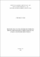 Dissertação_ ANDRE MIRZA MADURO_MESTRADO EM DIREITO_2020.pdf.jpg