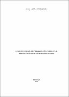 Dissertação_LUCAS LAUPMAN FERRAZ LIMA_Mestrado_2023.pdf.jpg