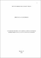 Monografia_Bruno da Silva Vasconcelos.pdf.jpg