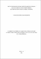 Dissertação_ CONCEIÇÃO DE MARIA SILVA NEGREIROS_MESTRADO PROFISSIONAL EM DIREITO_2021.pdf.jpg