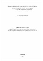 DISSERTAÇÃO_LUCAS DE SOUZA GIMENES_MESTRADO PROFISSIONAL EM DIREITO.pdf.jpg