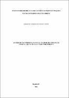 dissertacao_LILIAN SCAVUZZI CRAVO MAIURINO _mestradoDIR_2024.pdf.jpg