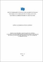 Tese_PATRÍCIA CERQUEIRA KERTZMAN SZPORER_Doutorado_2023.pdf.jpg