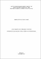 Dissertação_Rubens Pereira e Silva Junior_DIREITO CONSTITUCIONAL_2017.pdf.jpg
