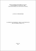 Dissertação_ LÚCIO GUIMARÃES MARQUES_MESTRADO EM DIREITO_2019.pdf.jpg