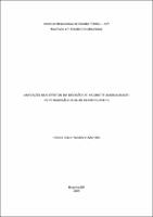 dissertação_Carlos Flávio Venâncio Marcílio.pdf.jpg