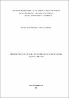 DISSERTACAO_RAFAEL GUSMAO RODRIGUES DE ANDRADE_MESTRADO EM DIREITO_2021.pdf.jpg