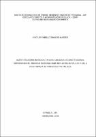 TCC - VINÍCIUS RABELLO DIAS DE ALMEIDA.pdf.jpg