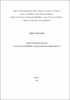 DISSERTAÇÃO_ GABRIELA NEHME BEMFICA_MES. PROF. DIR. ECO. DESEN._2025.pdf.jpg